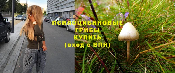 гидропоника Бородино
