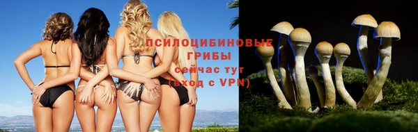 ALPHA-PVP Бугульма