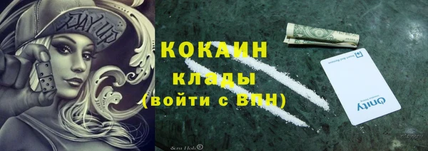 гидропоника Бородино