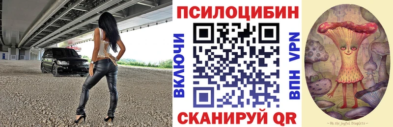 как найти наркотики  Нерчинск  Галлюциногенные грибы Magic Shrooms 